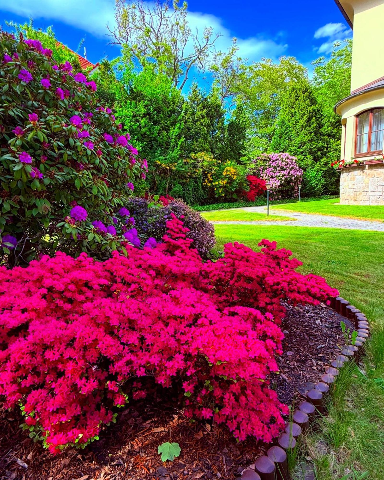 Penzion Villa Ancora Sumperk ภายนอก รูปภาพ