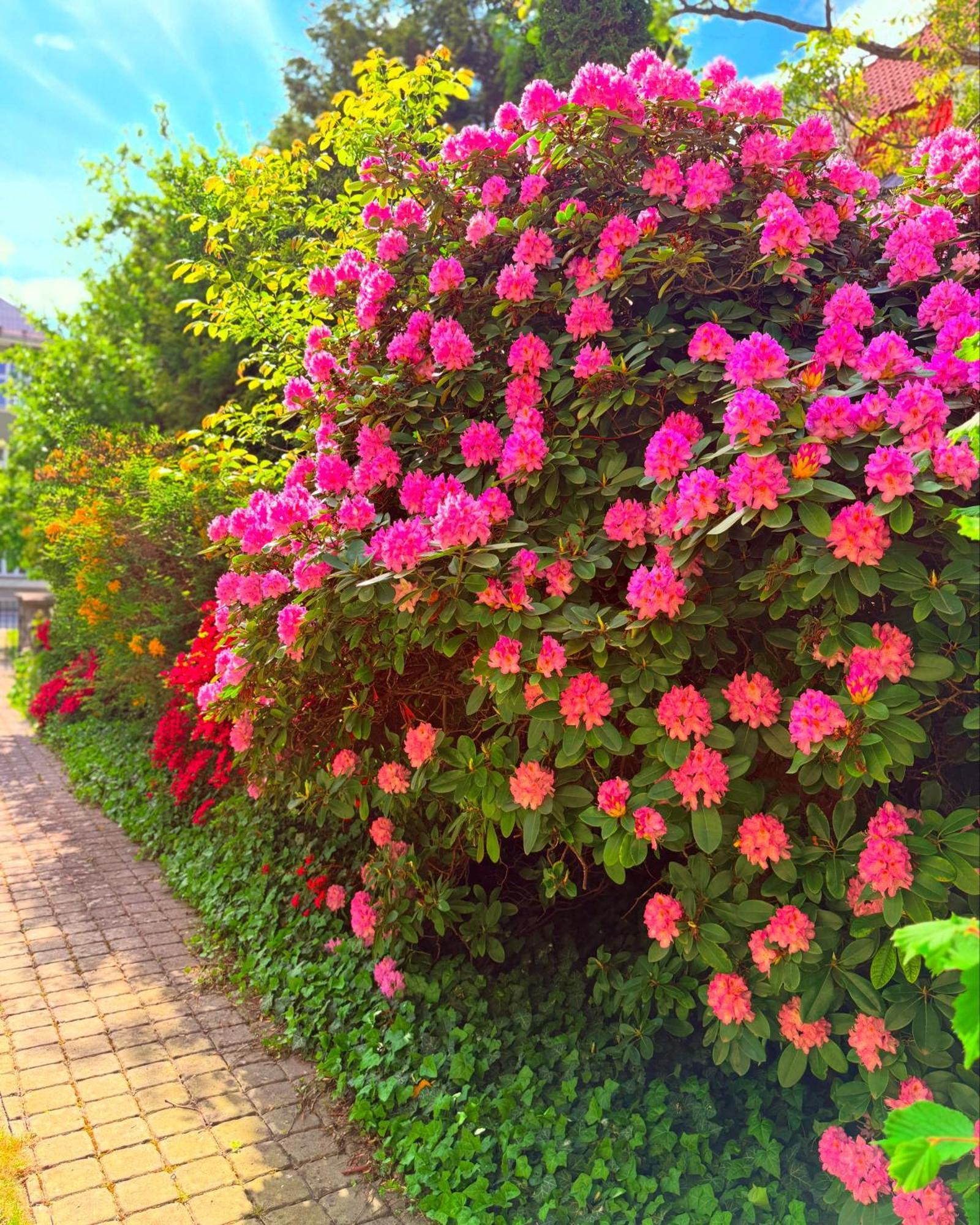 Penzion Villa Ancora Sumperk ภายนอก รูปภาพ